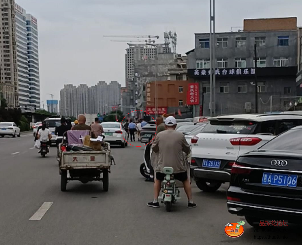 小马2.png