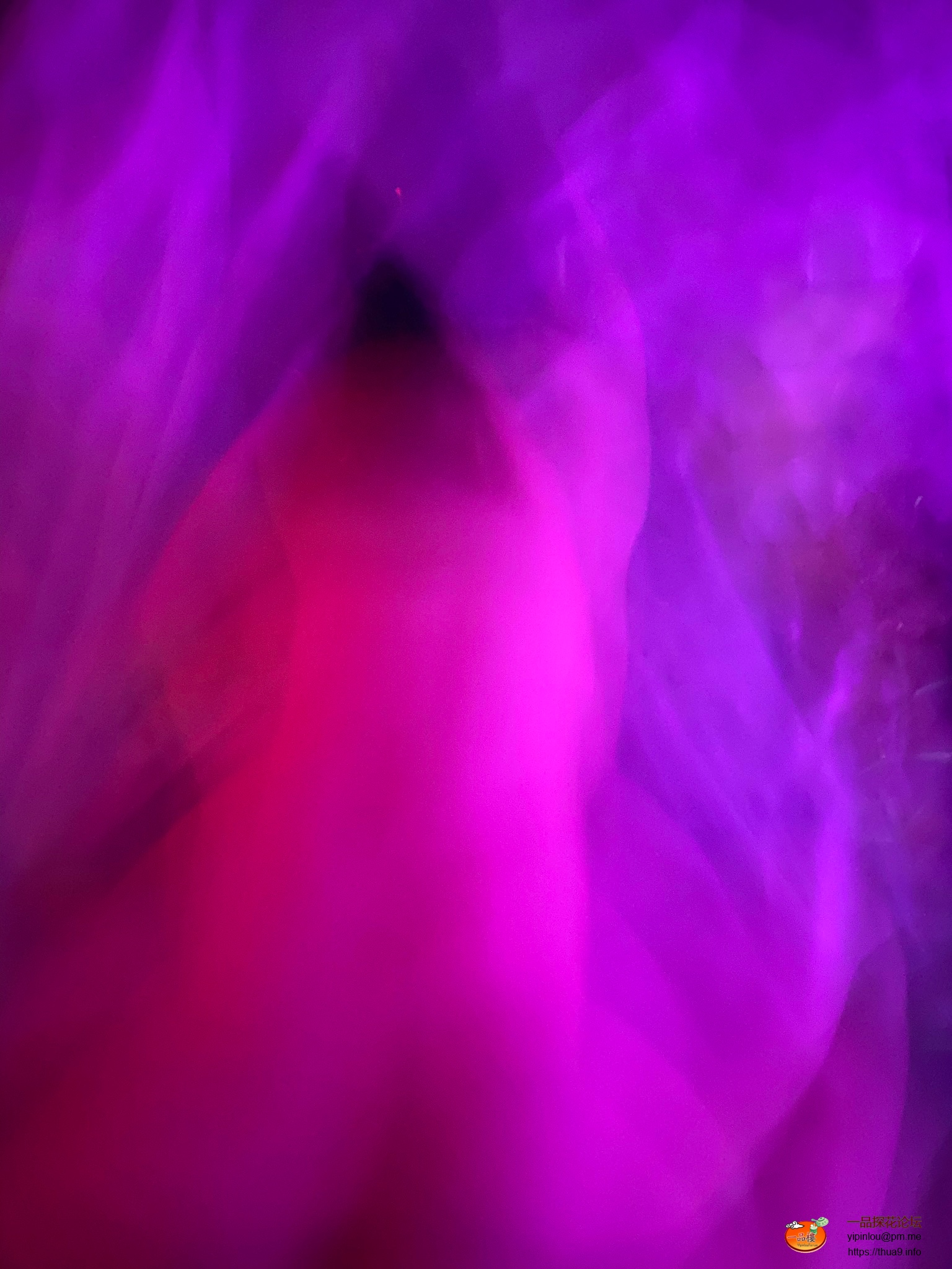F4089991-8813-48BD-9C7C-99794F283004.jpeg