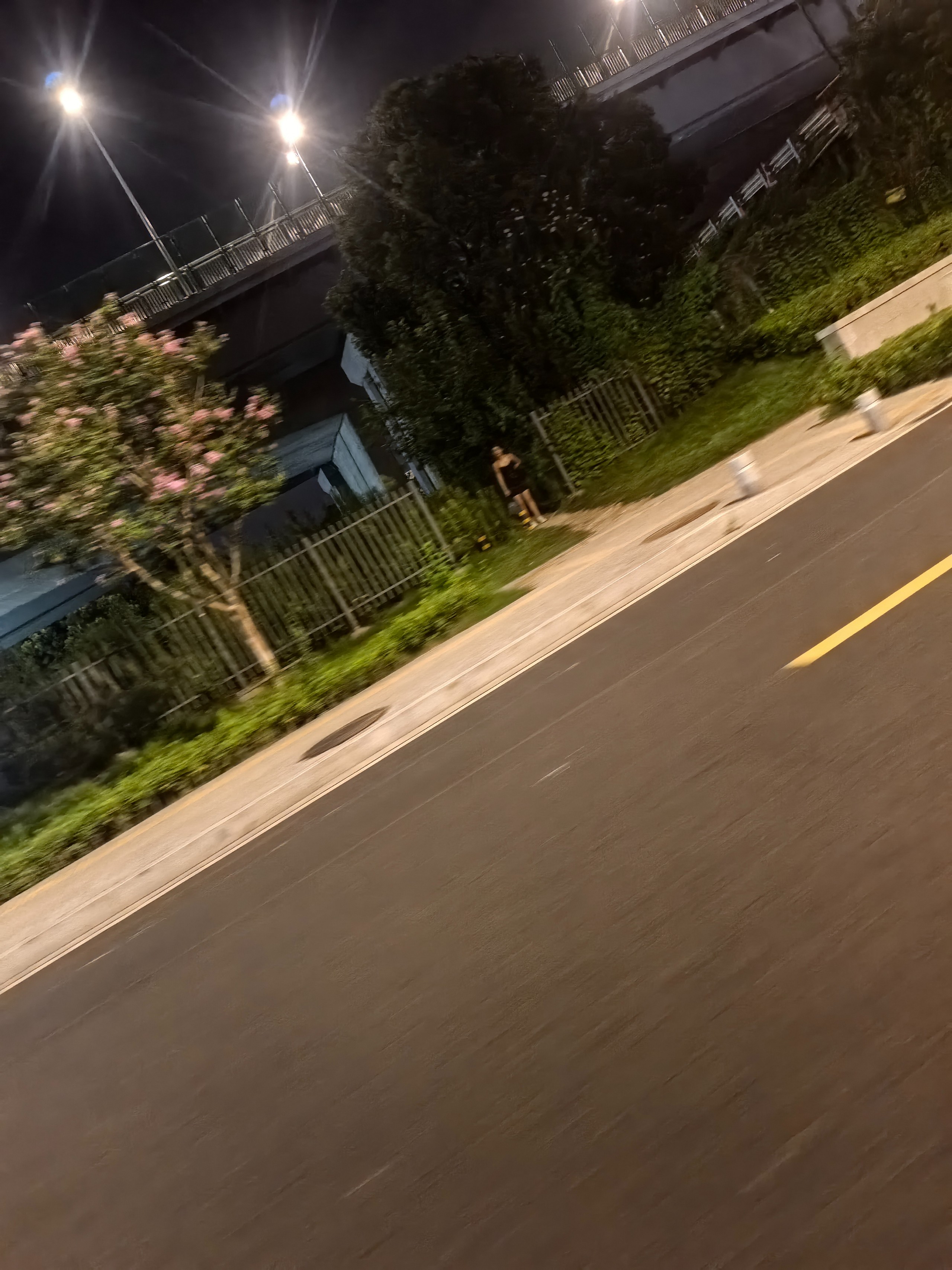 IMG_20250808_194922.jpg