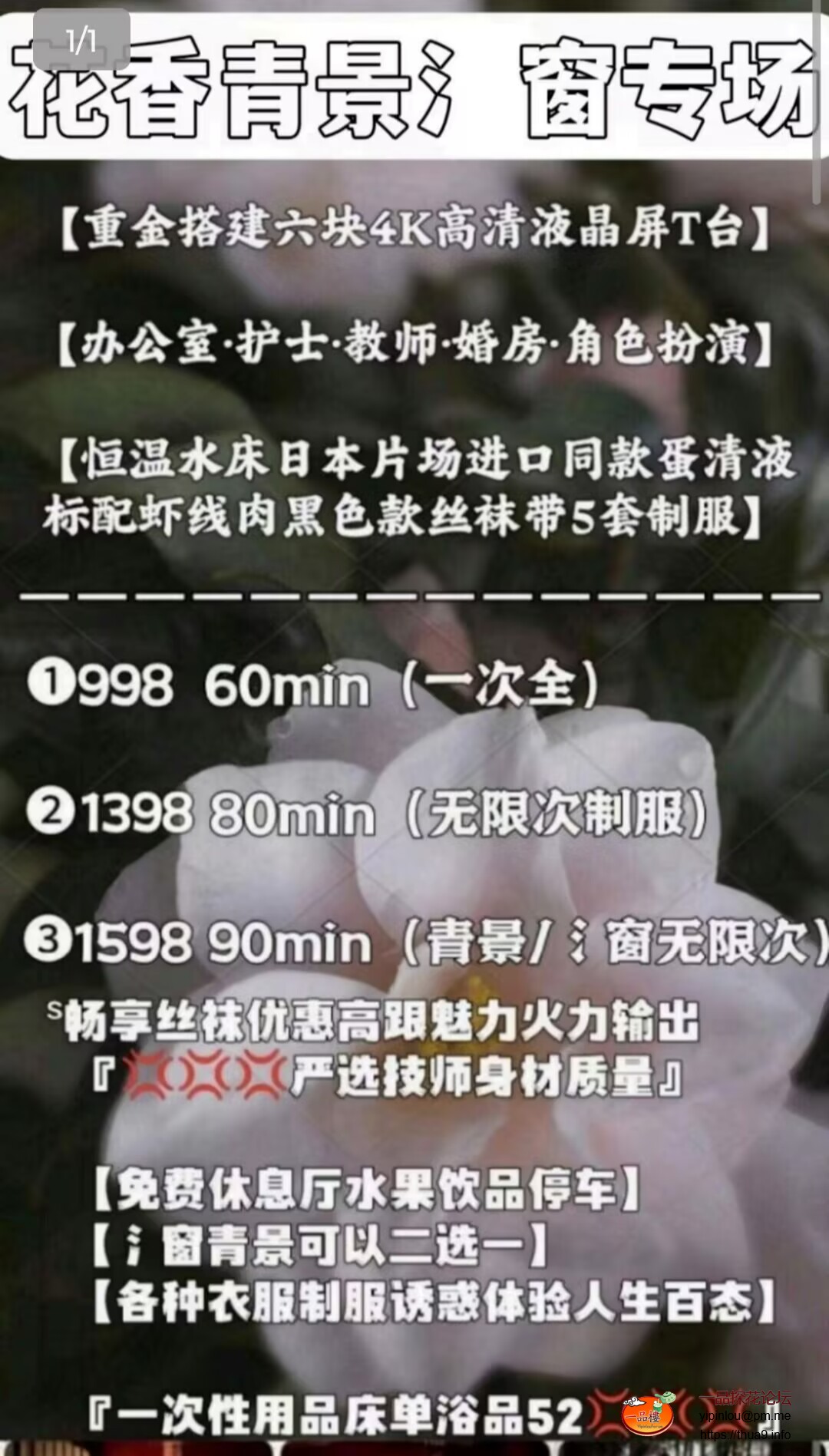 397A0E342E72B0B203D619F5D19E1DED.jpg