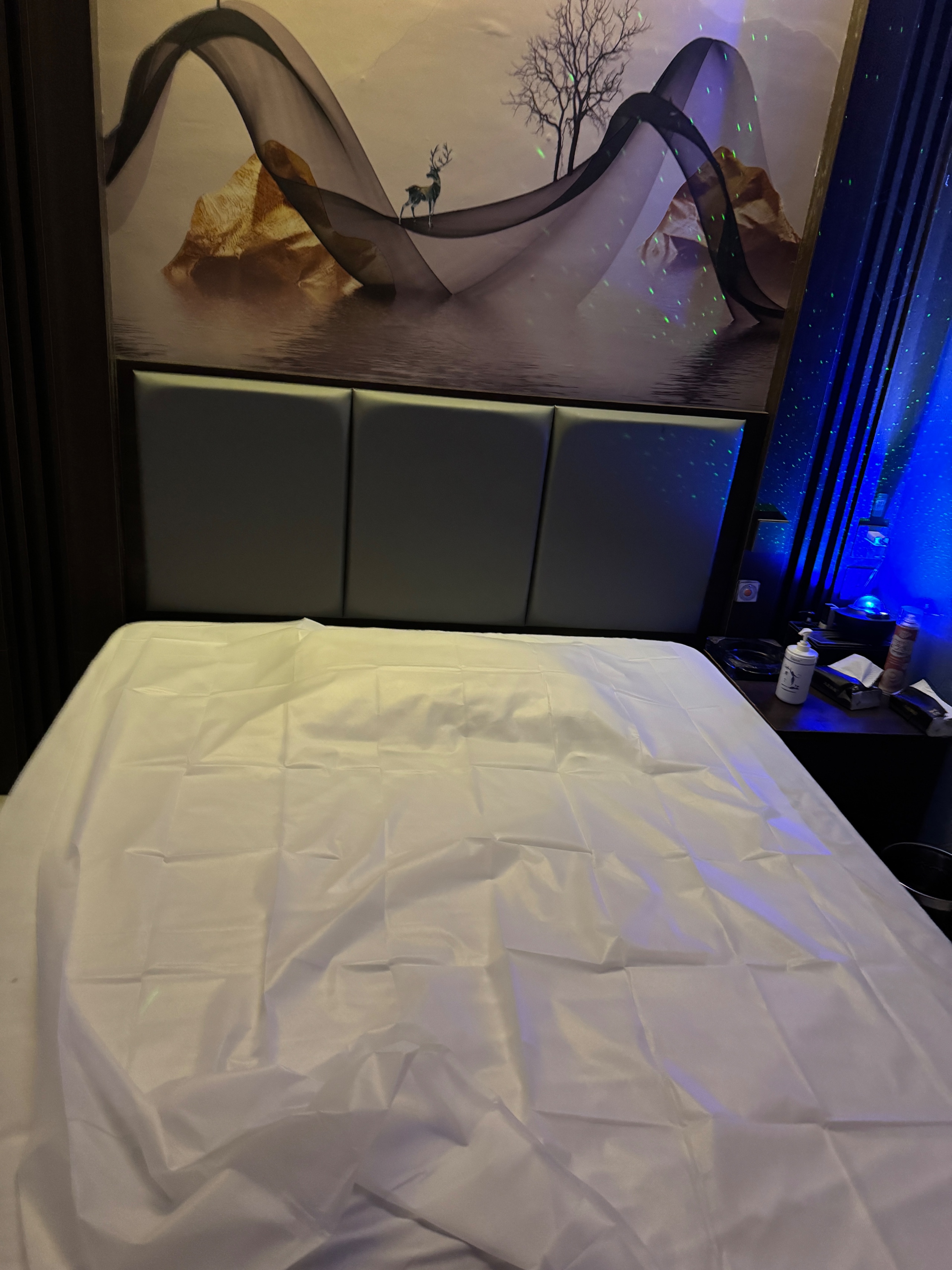 IMG_2538.jpeg