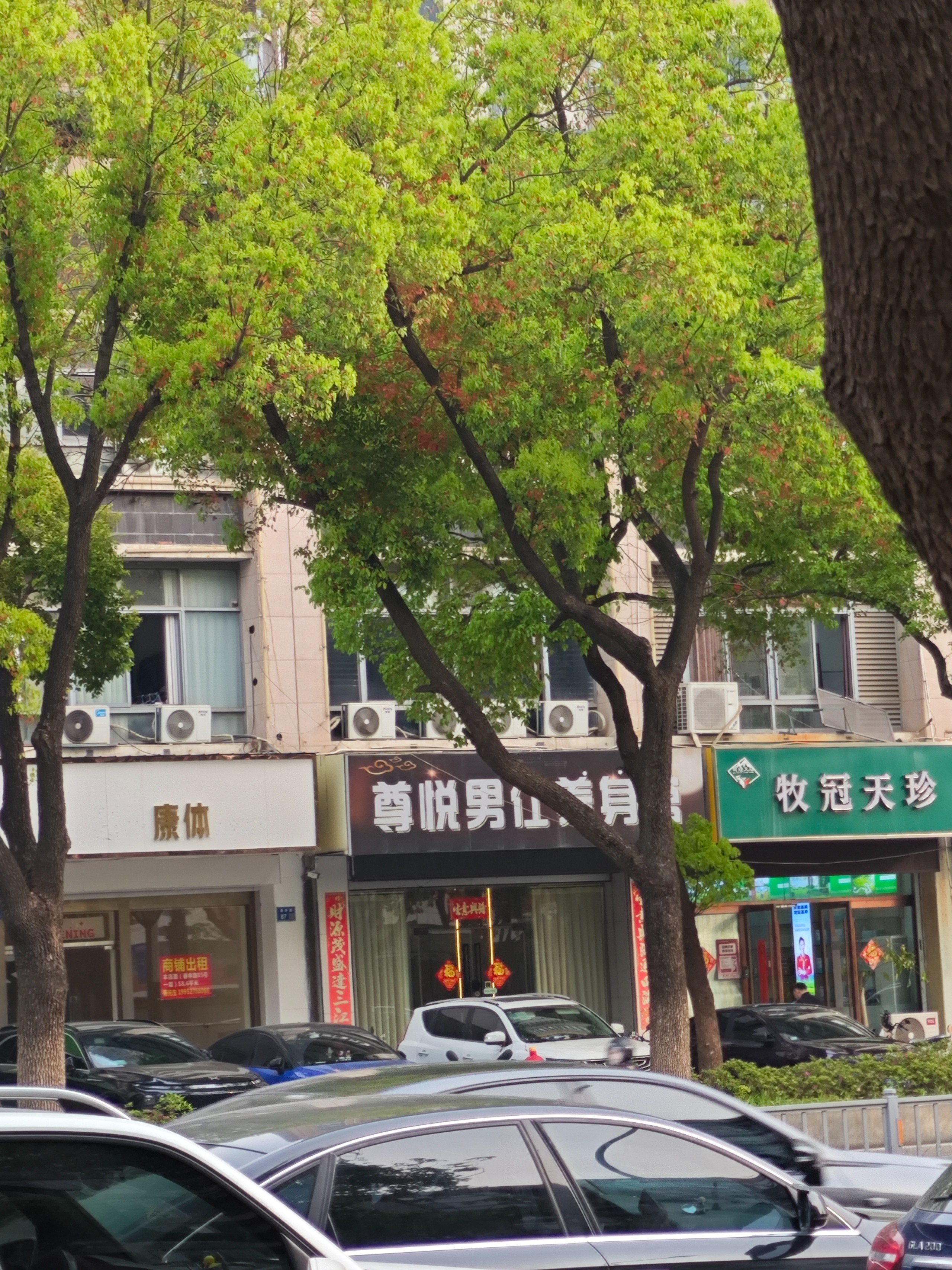 MVIMG_20260410_165326.jpg