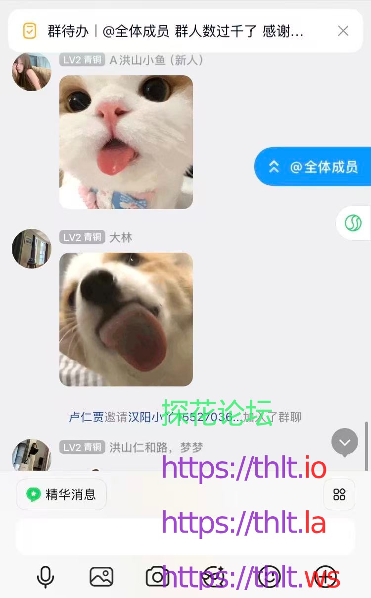 微信图片_20260421153316_116_212.jpg