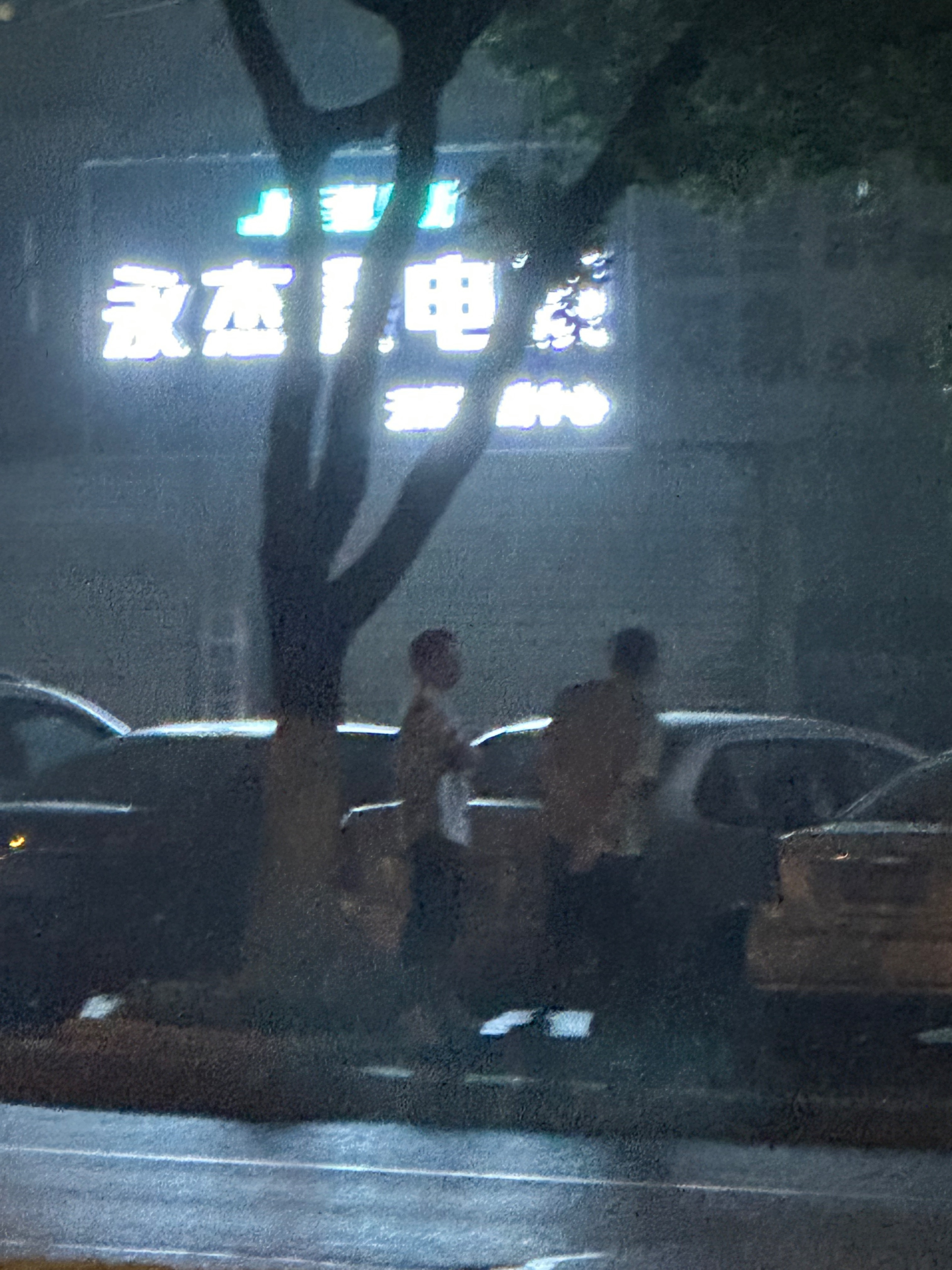 IMG_0218.jpeg