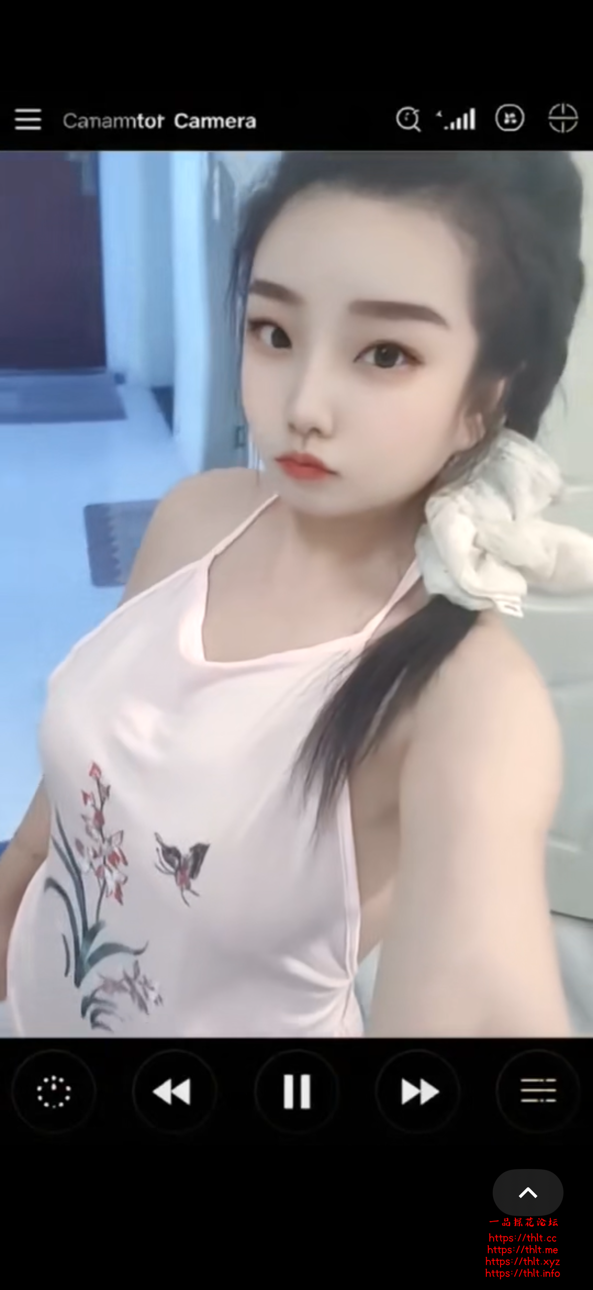 IMG_3809.png